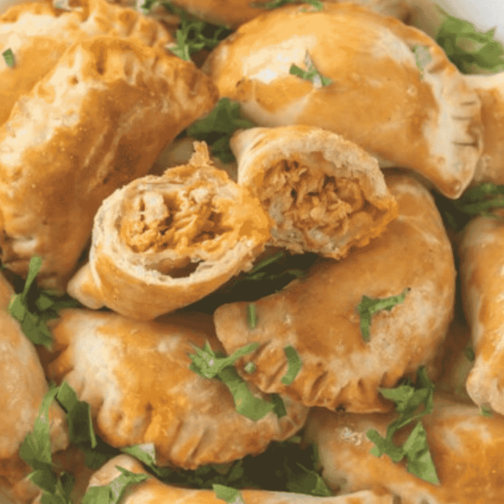 Chicken Dumplings