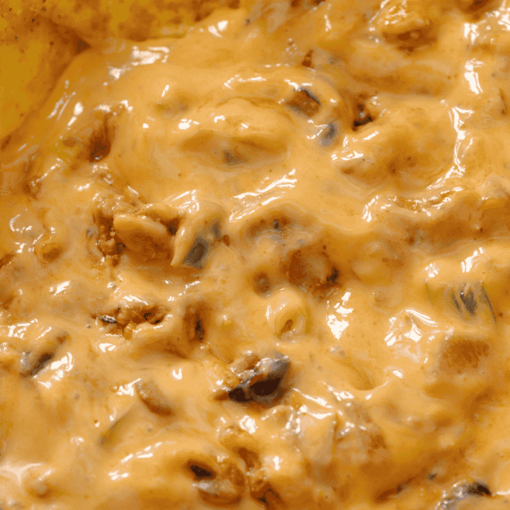 Rotel Dip With Ground Beef