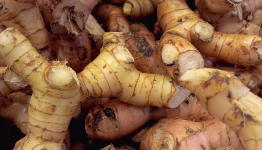 Bunch Of Galangal In The Market Image Photo