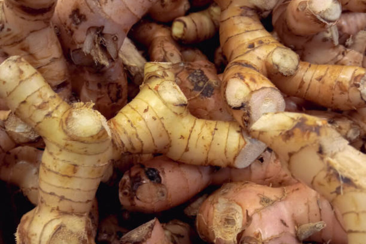 Bunch Of Galangal In The Market Image Photo
