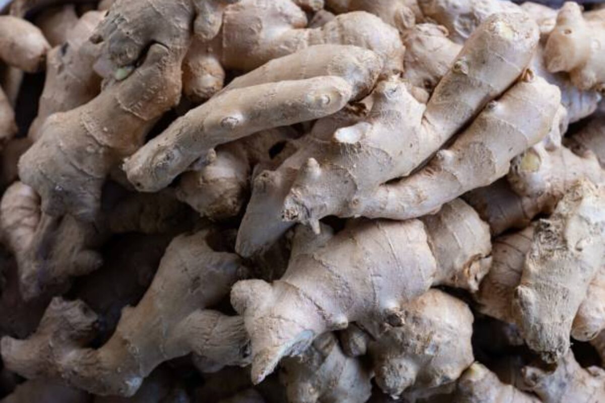 Fresh fruit & Vegatbles on display in market