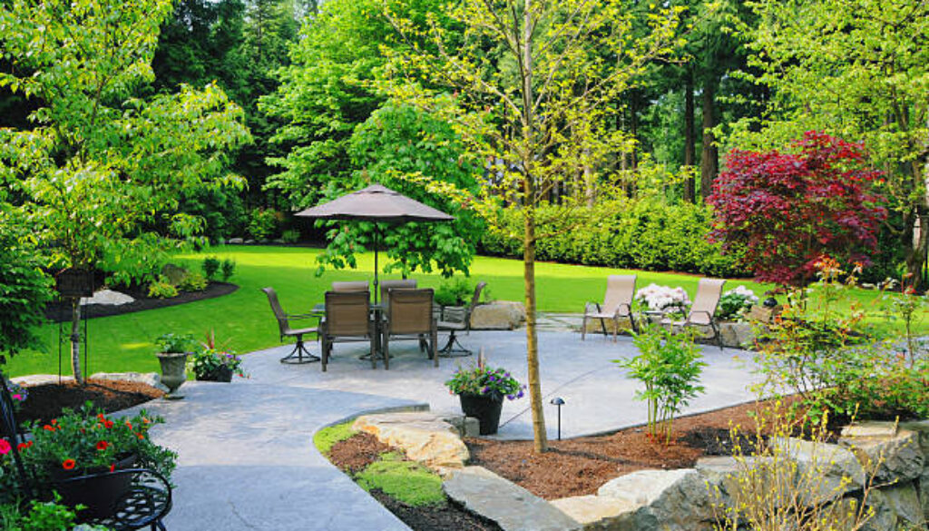 Landscaped Back Yard
