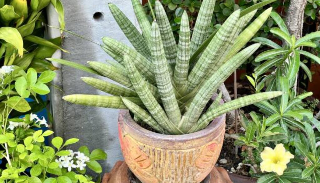 a photography of a potted plant sitting on a wooden stand.