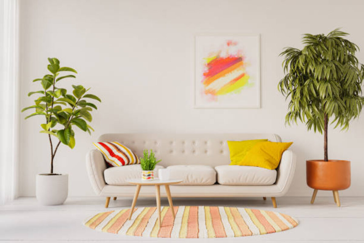 istockphoto-2180408801-612x612