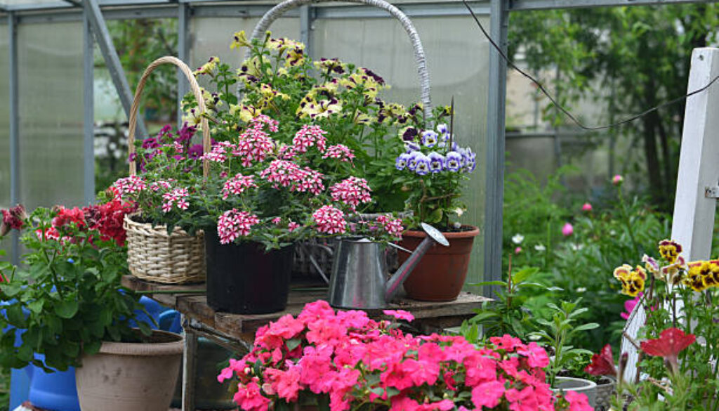 istockphoto-2226393384-612x612