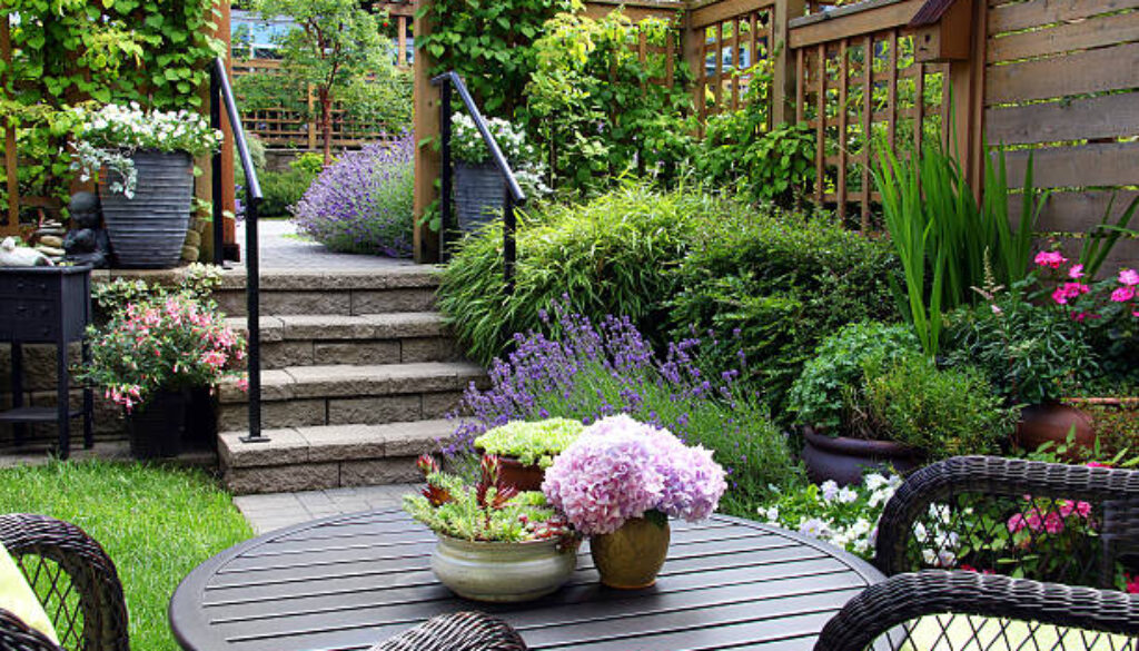 Small townhouse perennial summer garden.