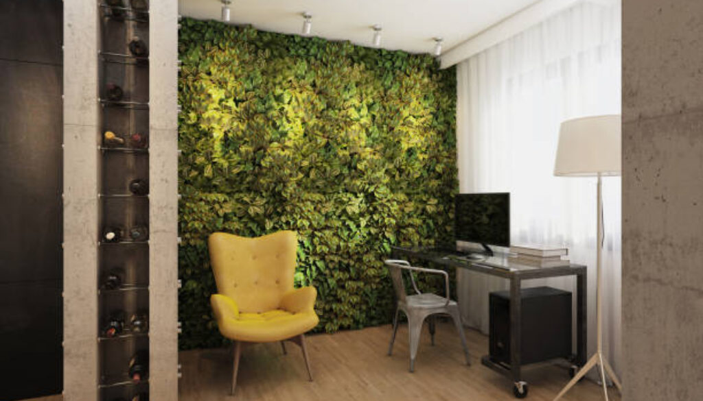 istockphoto-801171092-612x612