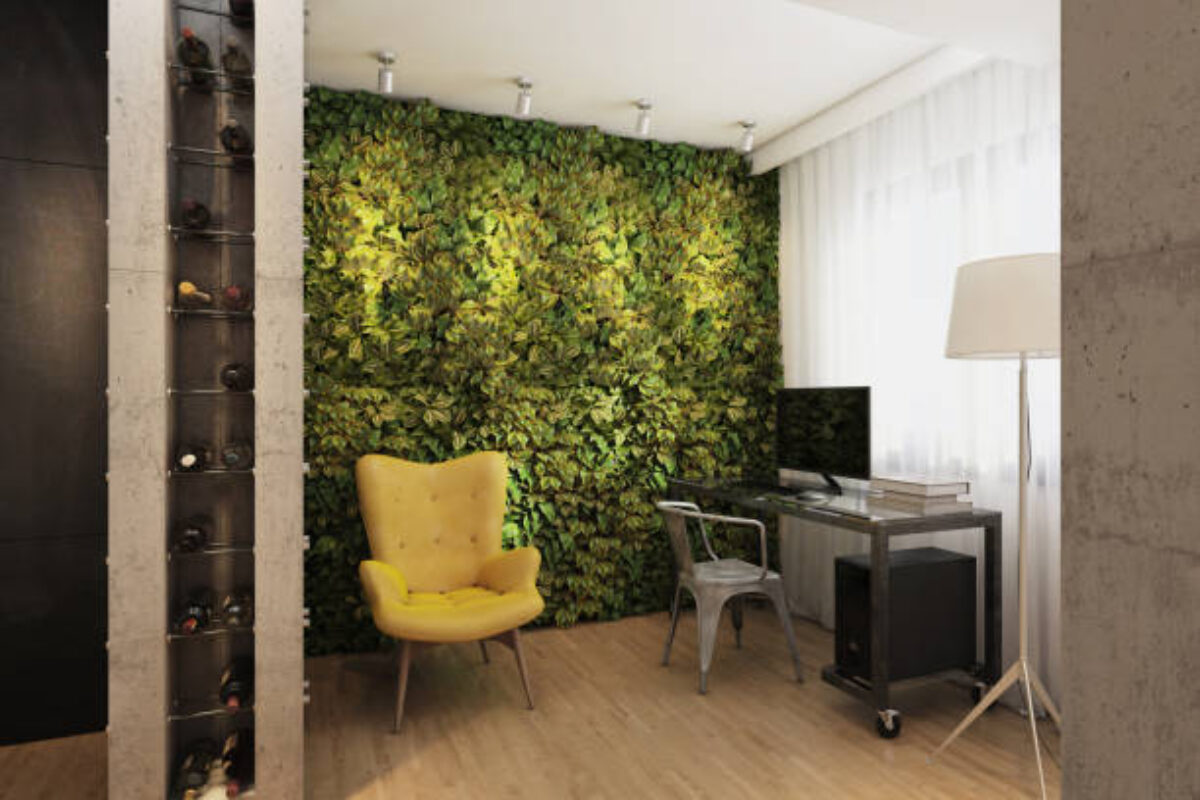 istockphoto-801171092-612x612