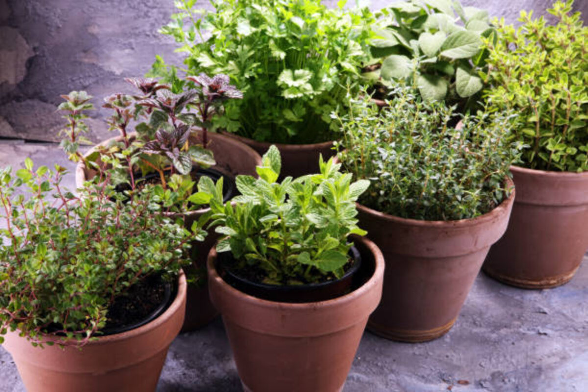 istockphoto-946788242-612x612