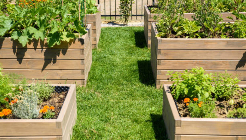 Green garden beds in late spring