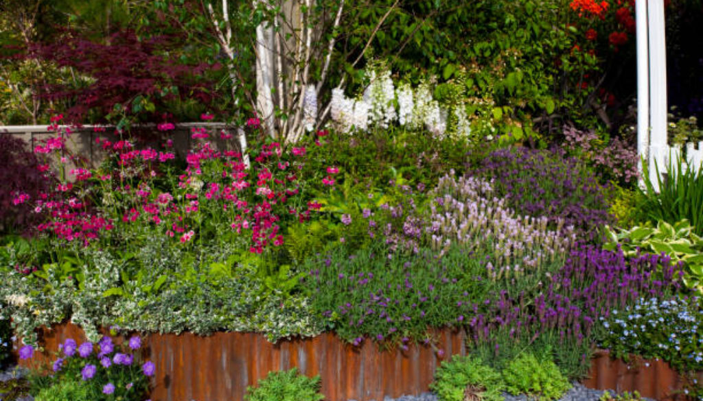 Tranquil garden landscape