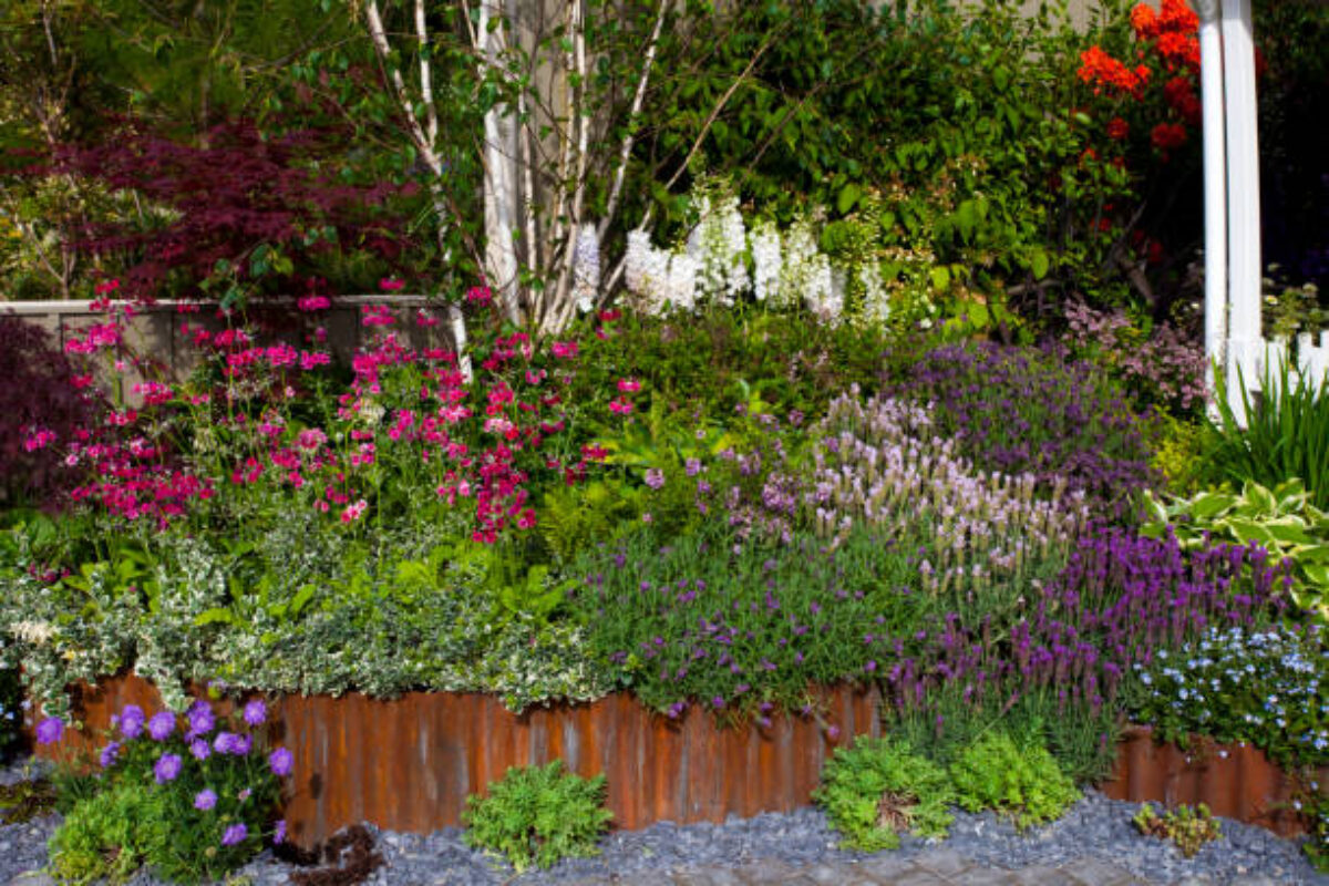 Tranquil garden landscape