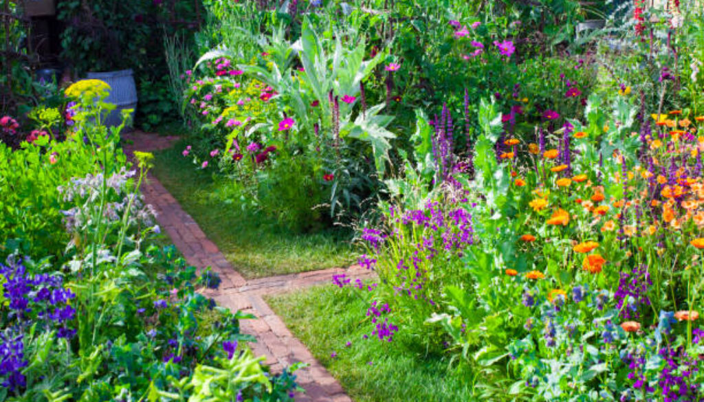 Tranquil garden landscape