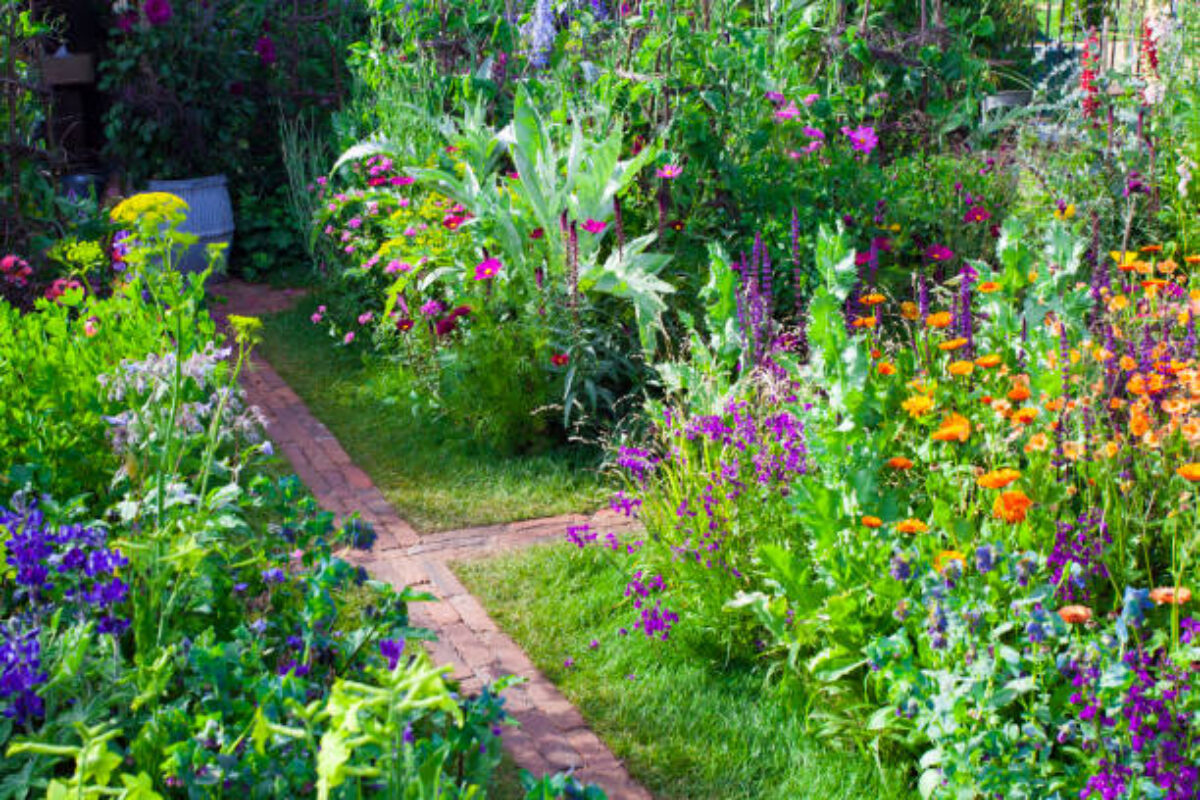 Tranquil garden landscape