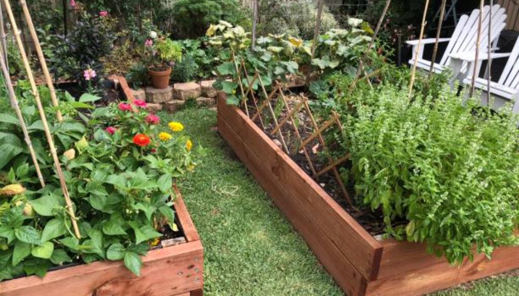 Garden vegetable beds