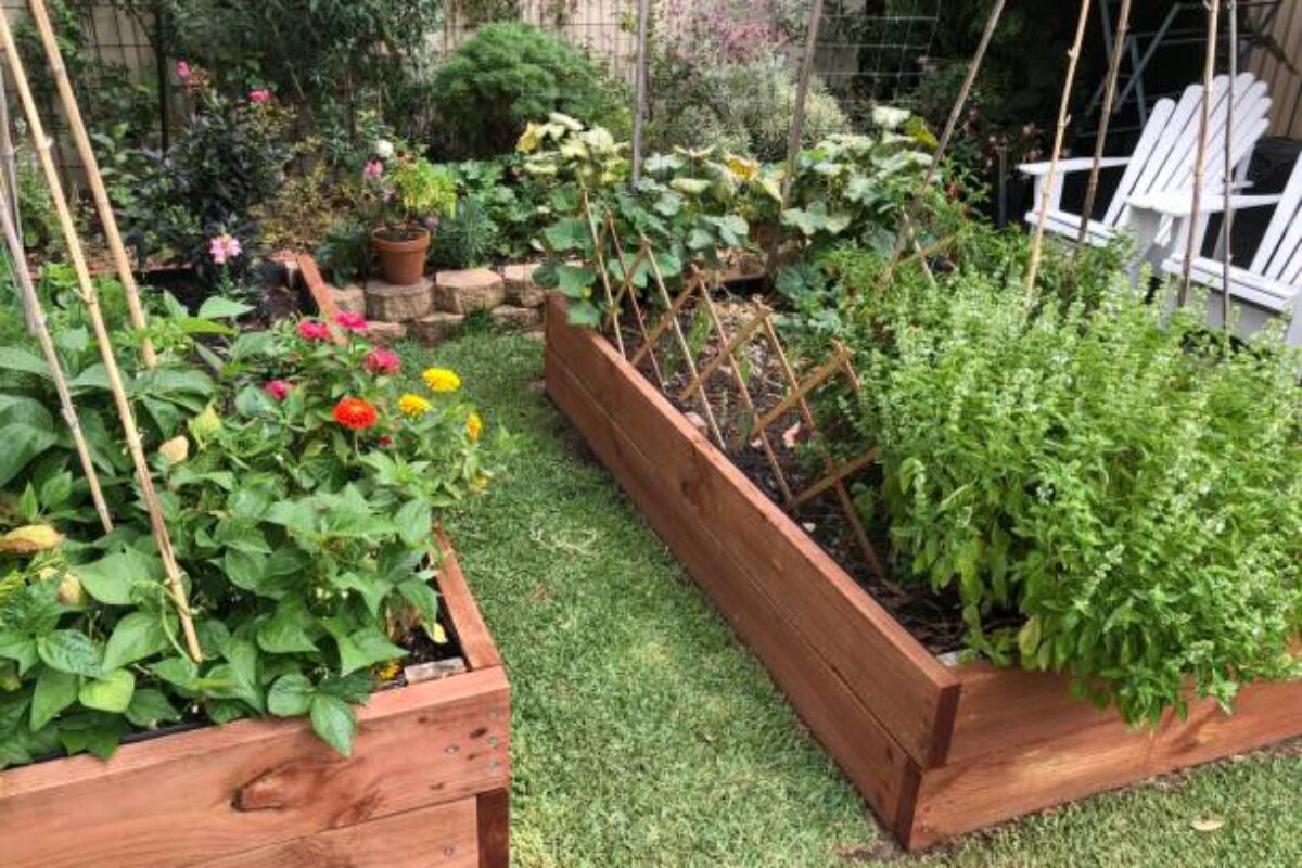 Garden vegetable beds